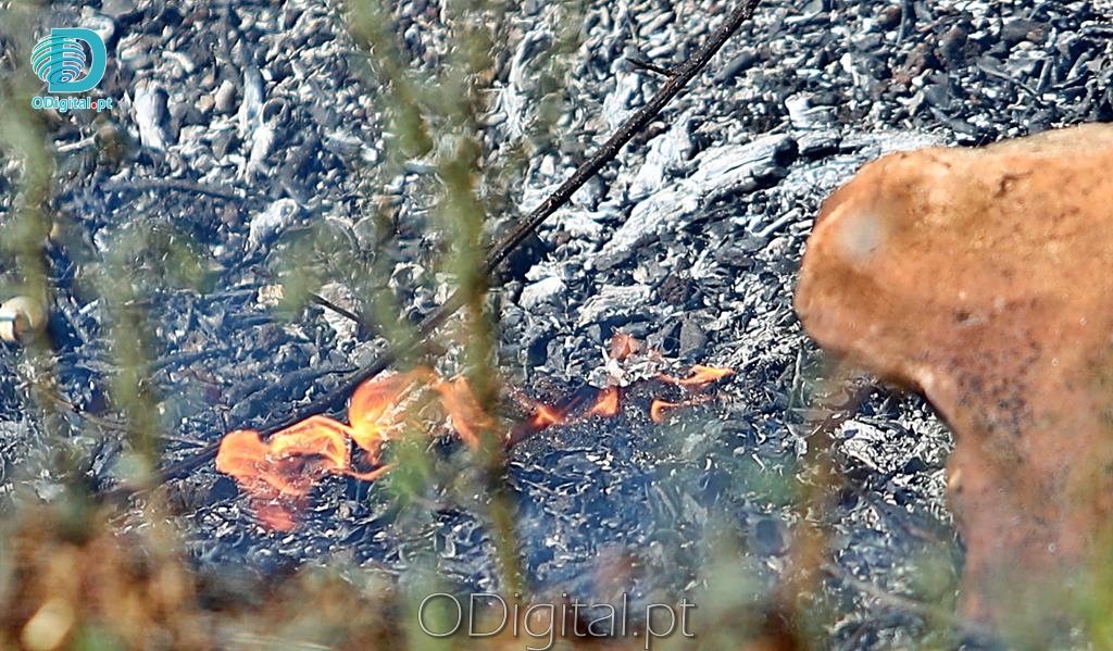 Incendio