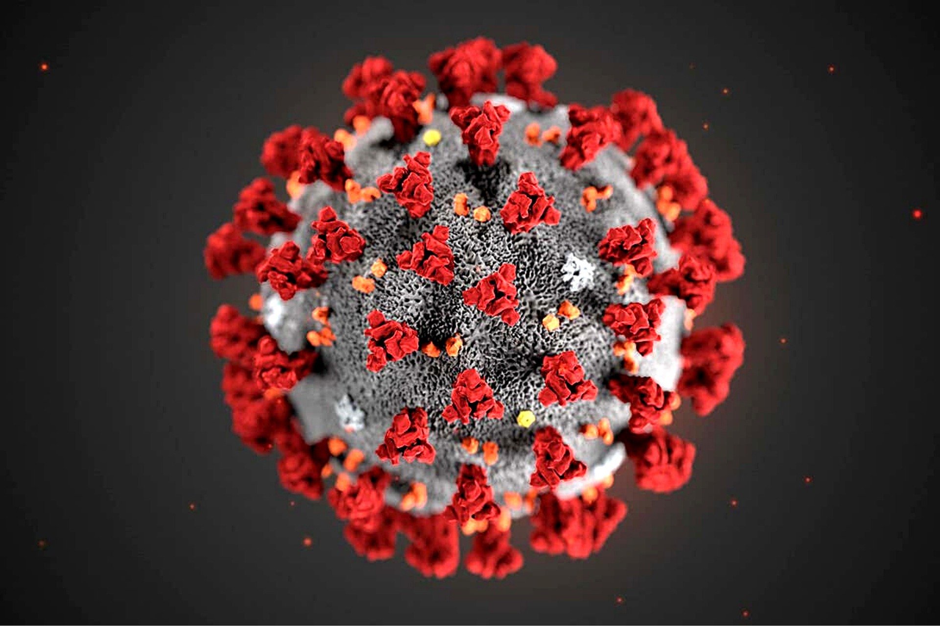 Situação epidemiológicas