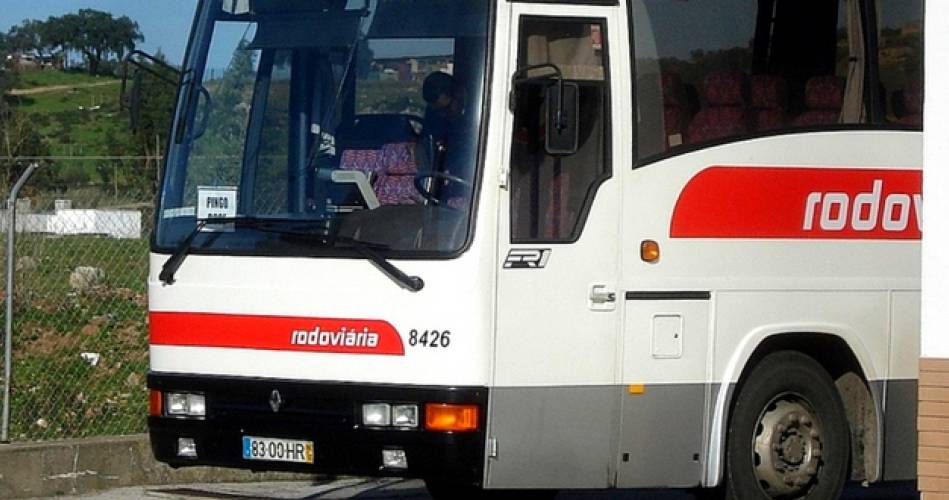 Transportes Escolares