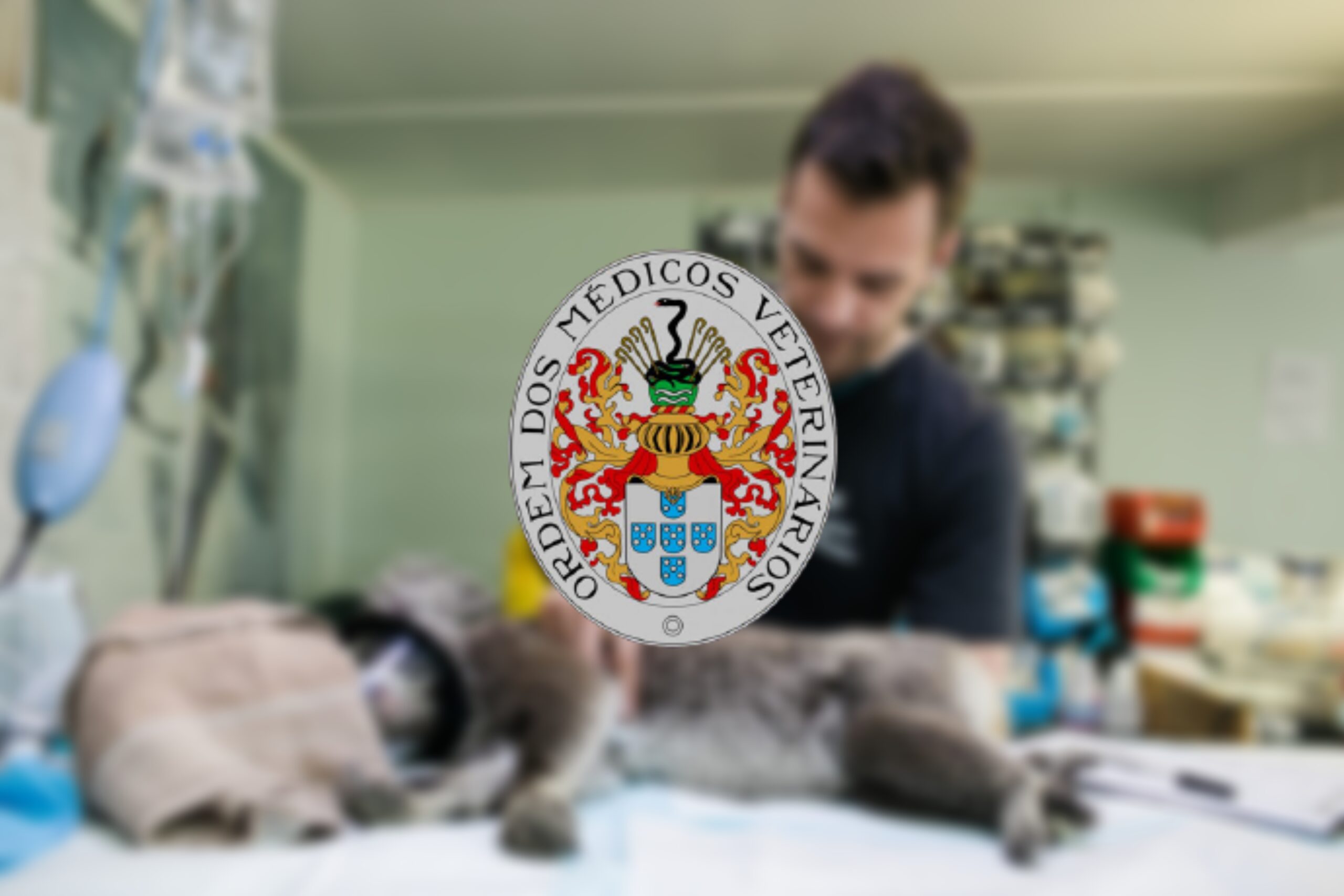 Médicos Veterinários