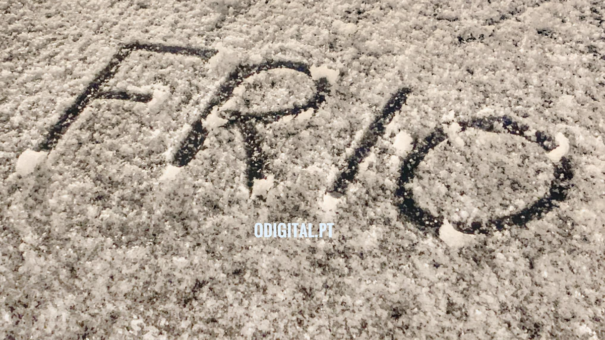 Frio