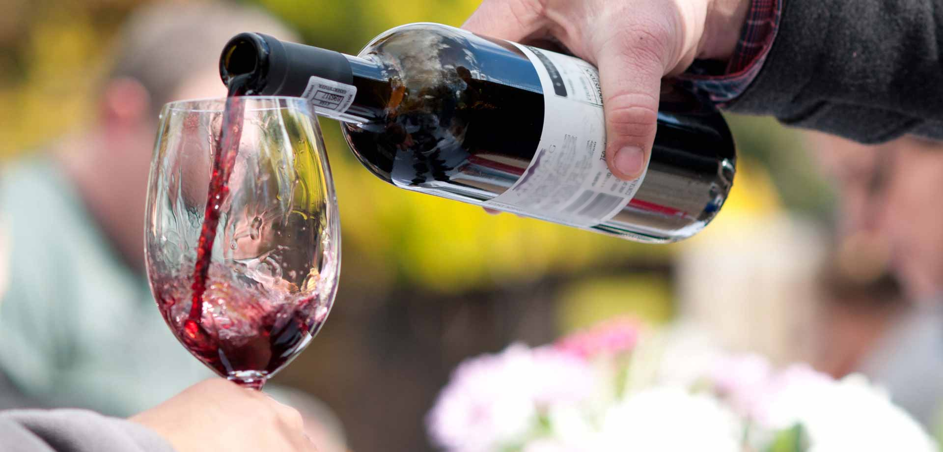Vinhos do Alentejo
