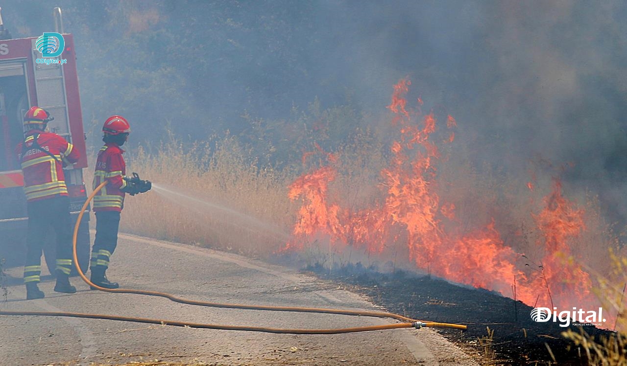 Incendio vila viçosa