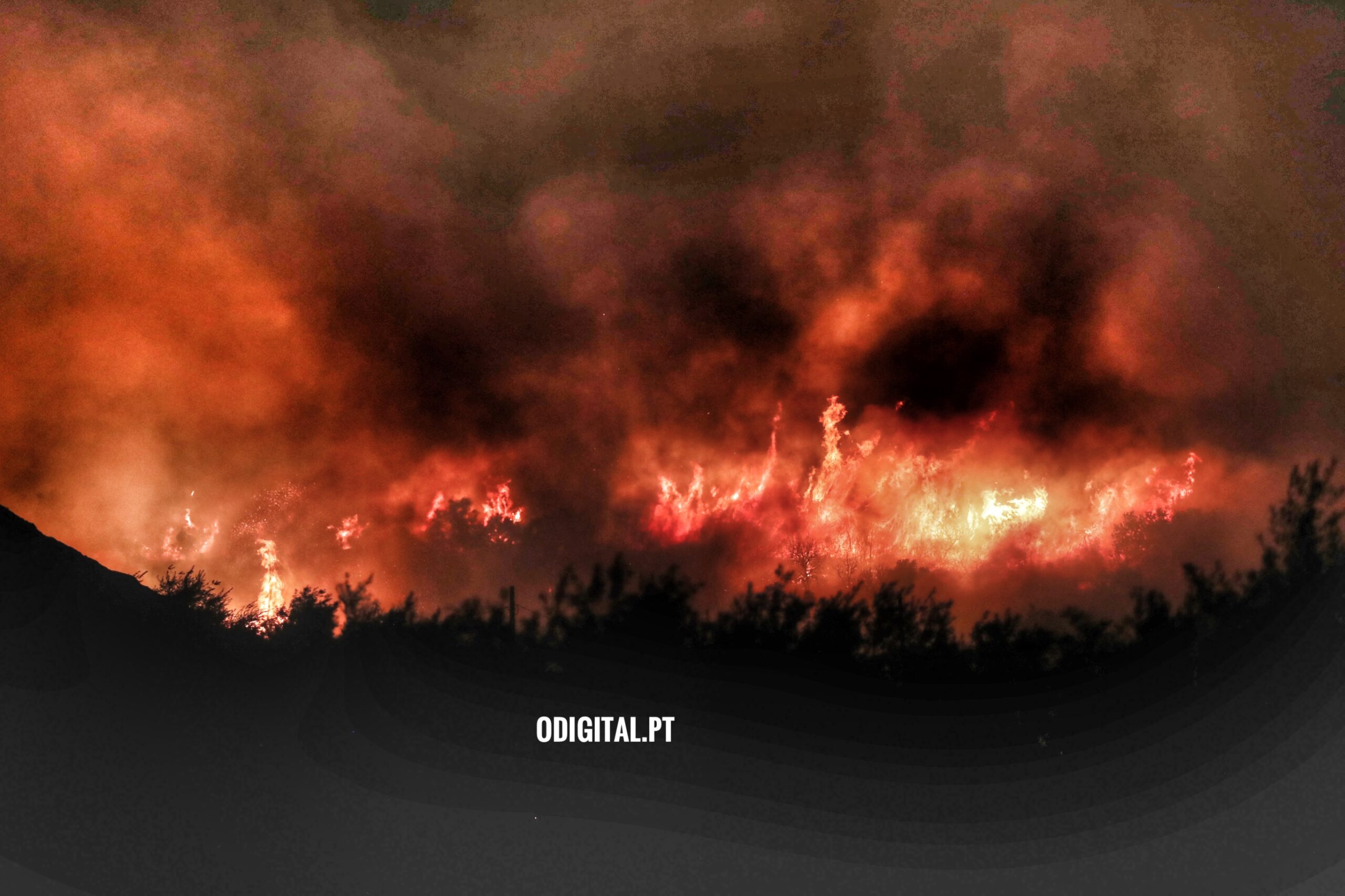 Incendio em Vila Viçosa