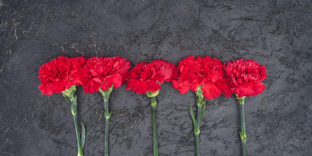 25 de abril