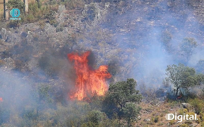 incendio
