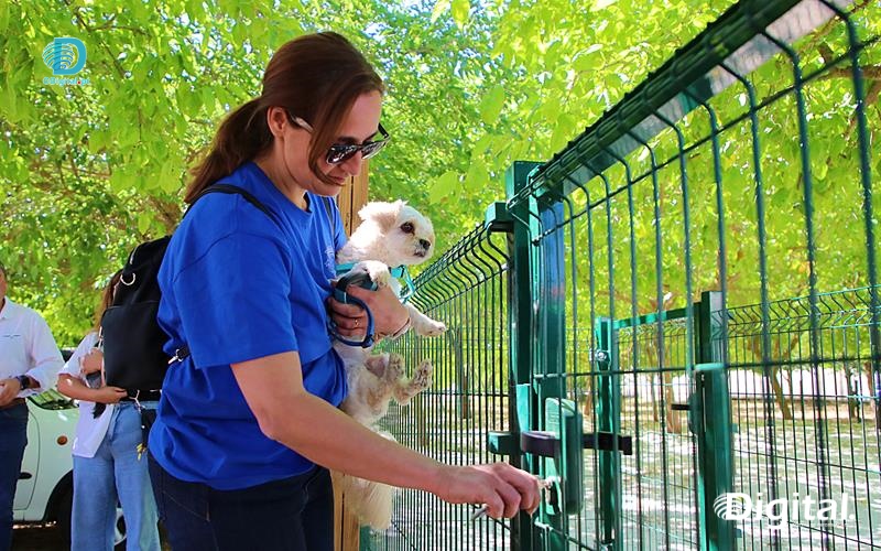 Parque canino