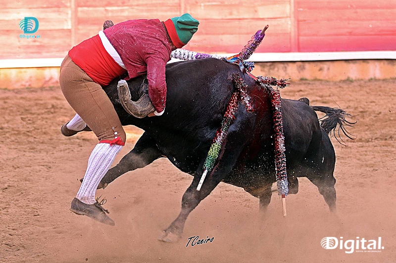 Tauromaquia