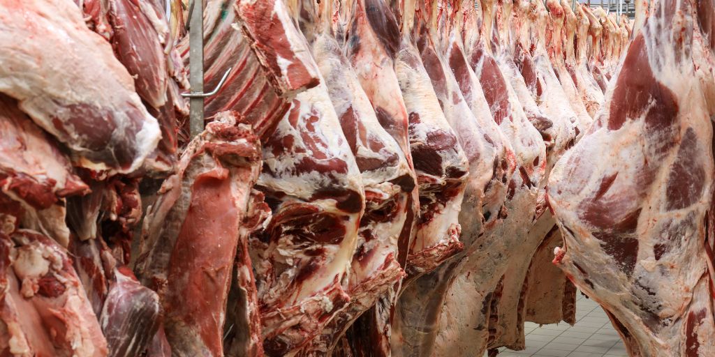 Carne de Porco