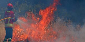 Alandroal: Incêndio perto de Rosário mobiliza meios aéreos e mais de meia centena de operacionais Incendio