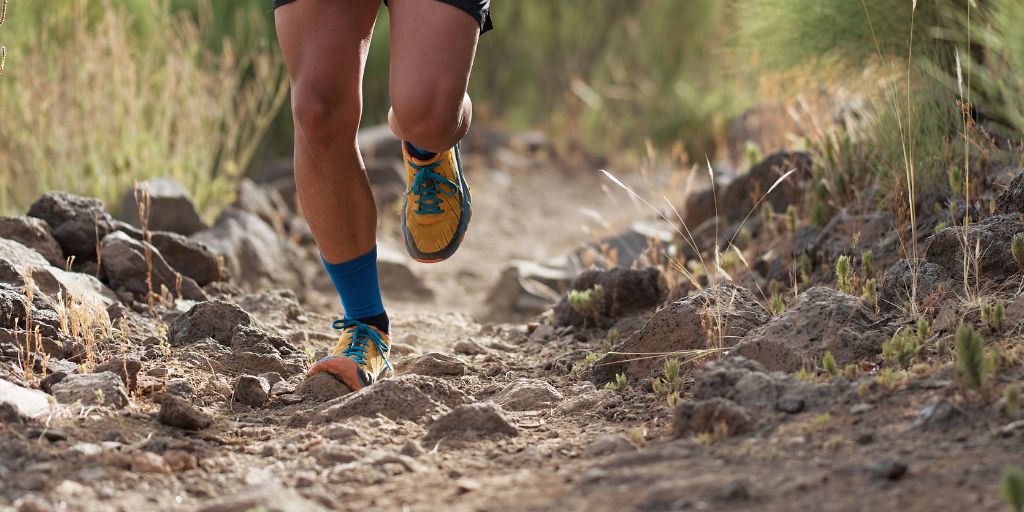 Mora: Localidade de Brotas acolhe II Trail 