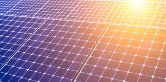 Movimentos cívicos criam plataforma nacional contra megaprojetos solares e eólicos Painéis Solares