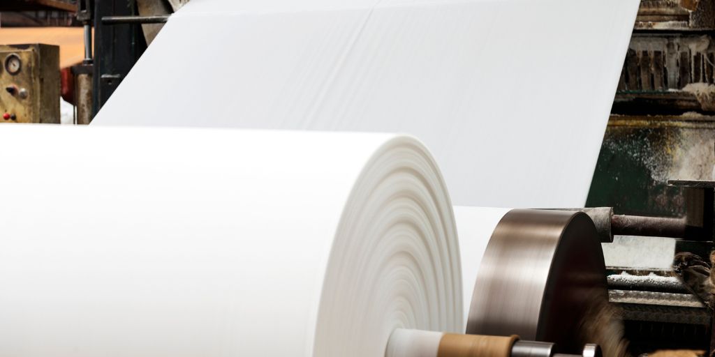 Pasta de papel