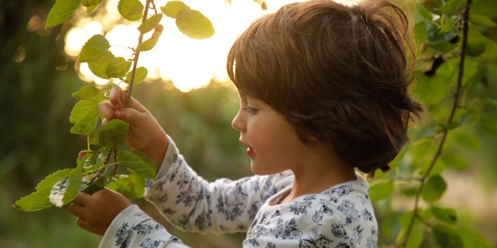 Herdade da Matinha nomeada para o Earthshot Prize 2024