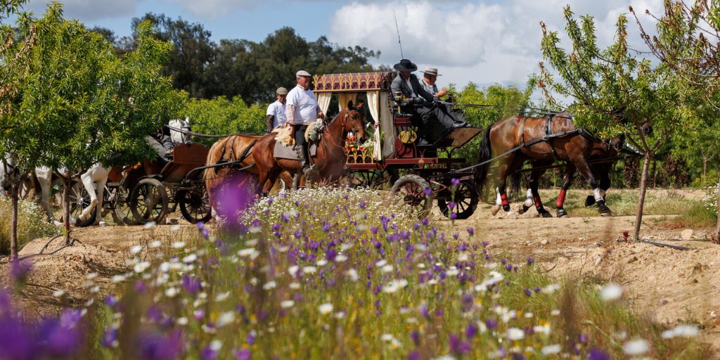 XXIII Romaria a Cavalo reúne centenas de romeiros entre a Moita e Viana do Alentejo
