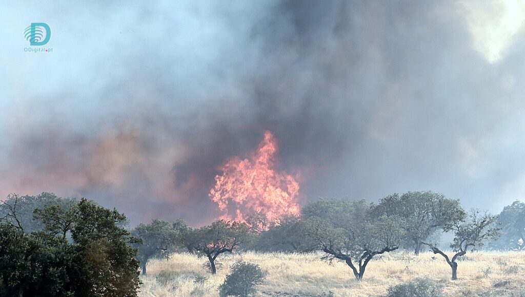 Incêndios