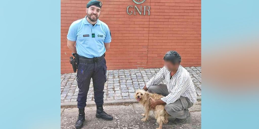 GNR recupera em Campo Maior cão furtado em Portalegre