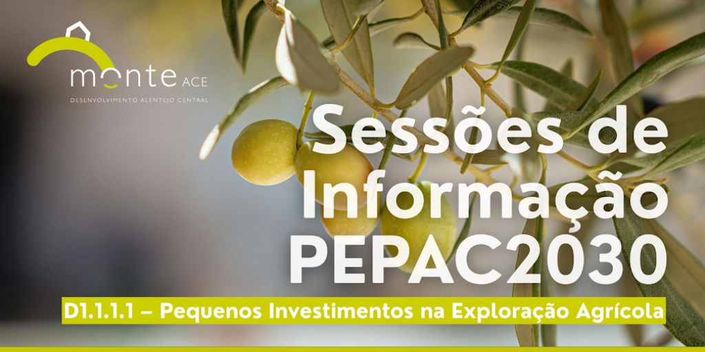 NERE e MONTE promovem oportunidades de financiamento para explorações agrícolas