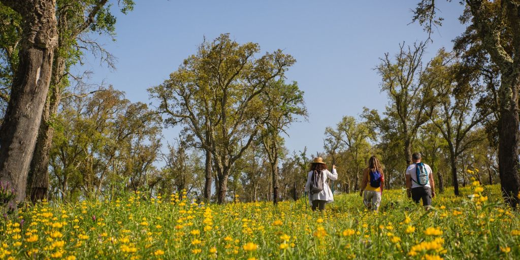 Caminhadas e pedaladas promovem turismo sustentável no Sudoeste Alentejano