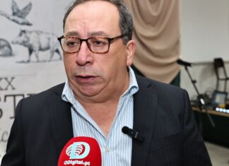 Autarquia de Mora pede intervenção “profunda” da IP na N2 até Brotas: “Todos os invernos a coisa se agrava” Luis Simão