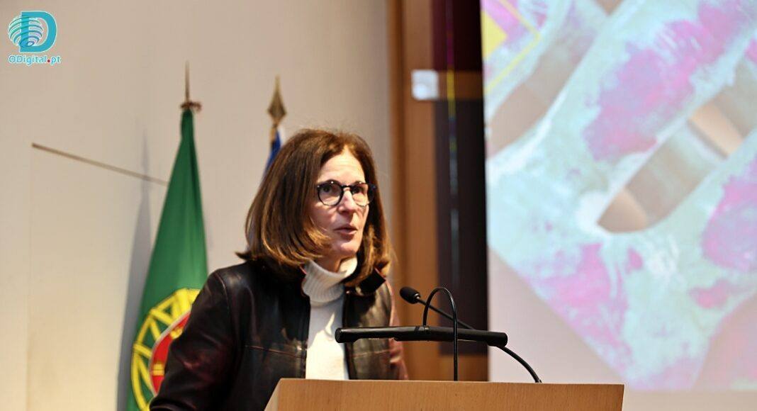 Ana Paula Amendoeira defende cultura como base da inclusão social no Alentejo