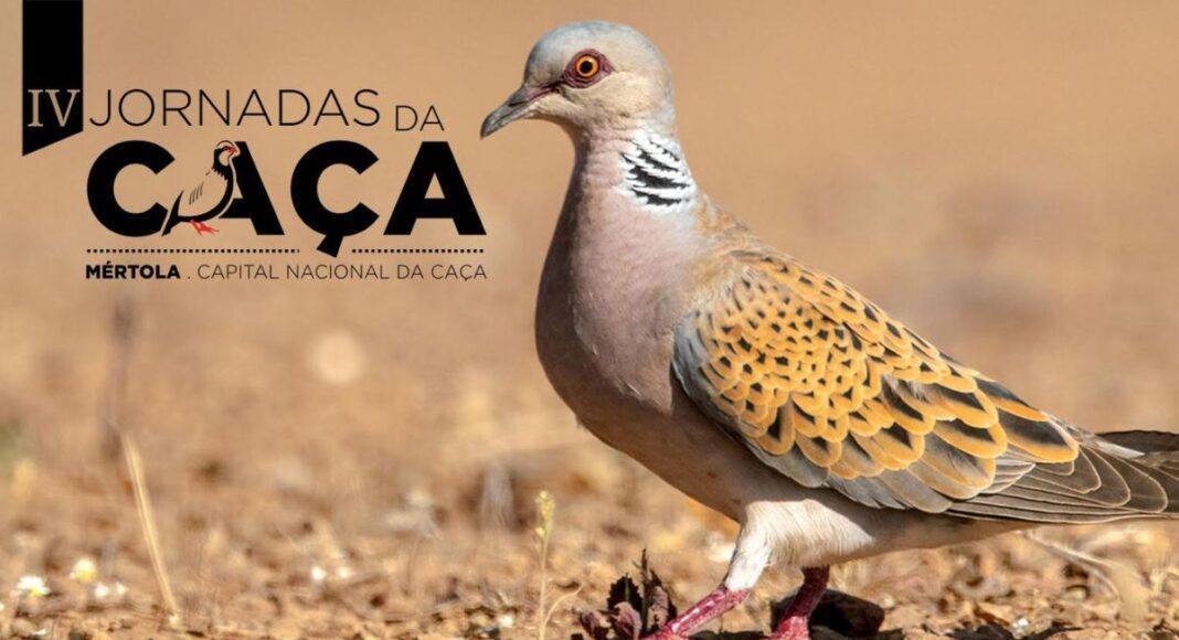 Jornadas da Caça 2026: Mértola promove biodiversidade e gestão cinegética sustentável