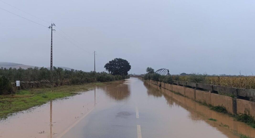 Estradas Santa Vitória Ameixial Cano