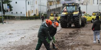 Depressão Leonardo: CIMAA mobiliza sapadores florestais e trator para apoiar limpeza em Portalegre