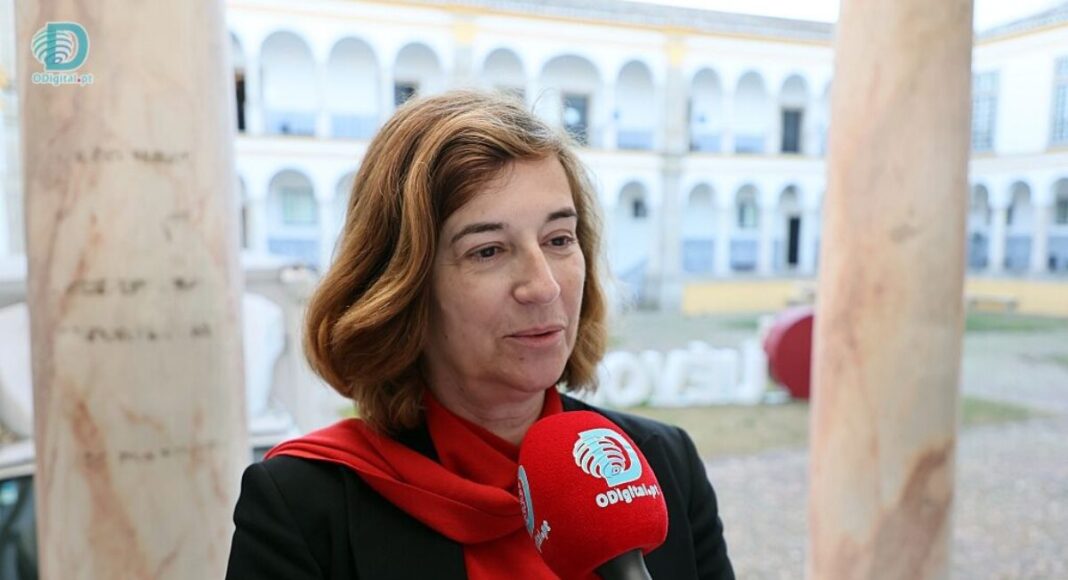 Hermínia Vilar