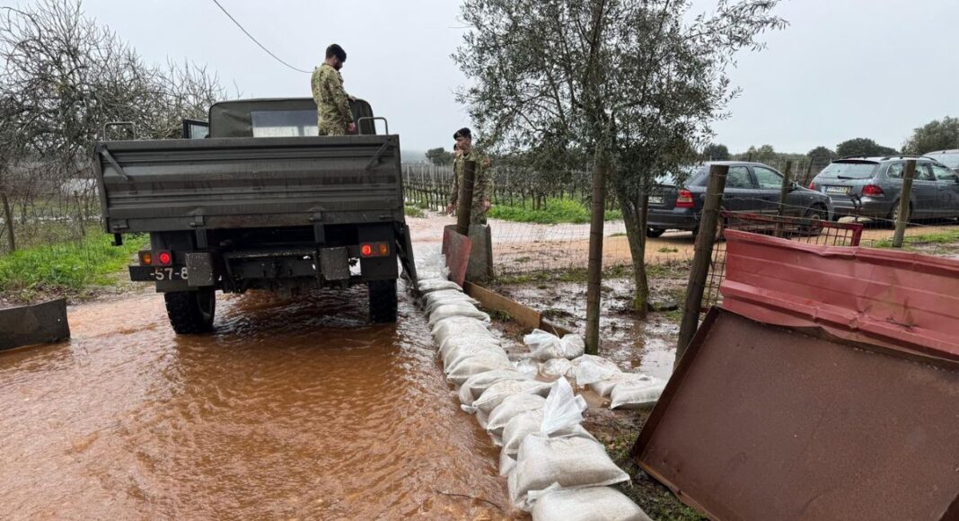 Regimento de Cavalaria Nº3 mobiliza cerca de 100 militares no apoio às populações afetadas pelas cheias