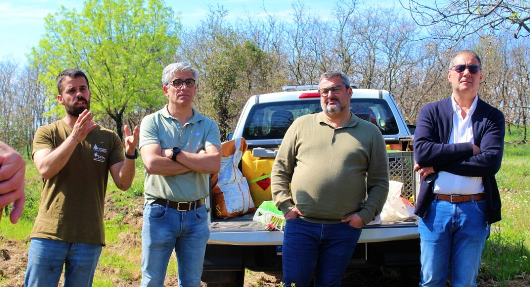 CIMAA promoveu ação de reflorestação em Castelo de Vide e Nisa, com plantação de 200 sobreiros nas áreas afetadas pelos incêndios de 2025.