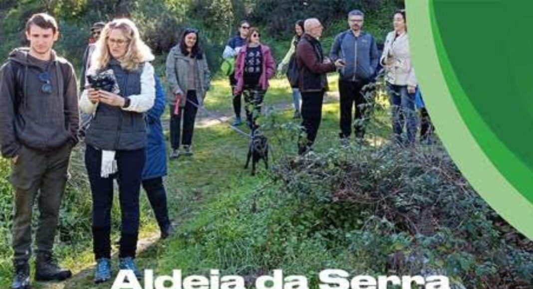 Serra d’Ossa em destaque: Redondo promove passeio pedestre e degustação a 15 de março