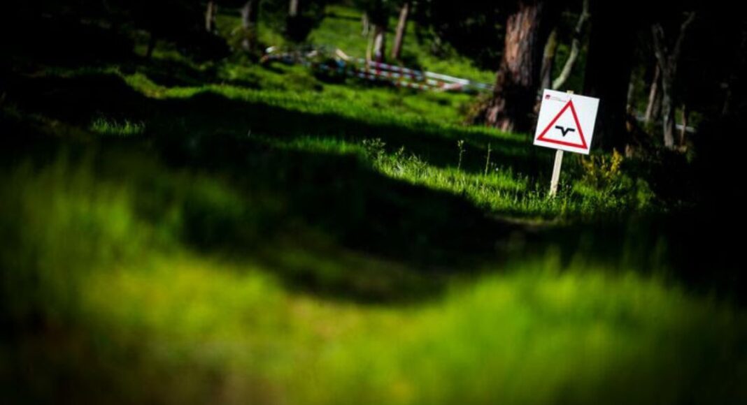 Prova do Mundial de Todo-o-Terreno percorre cerca de 2200 km em Portugal e Espanha