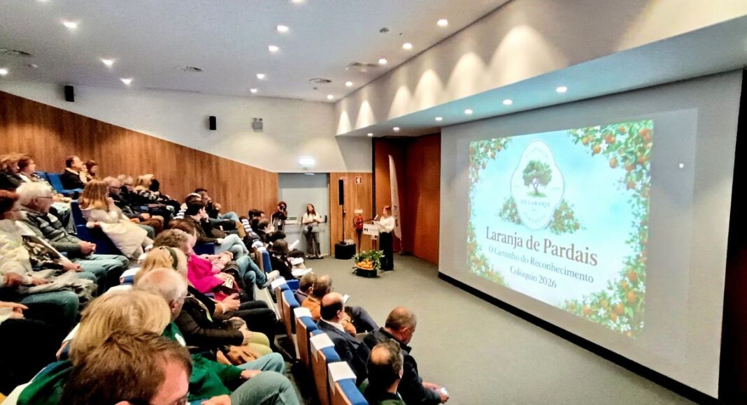 Laranja de Pardais em destaque: Produtores e património local no centro de colóquio em Vila Viçosa (c/fotos)