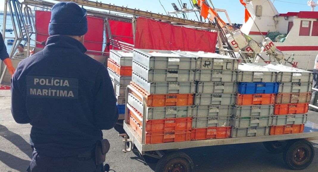 Polícia Marítima apreende cerca de uma tonelada de tamboril no porto de Sines