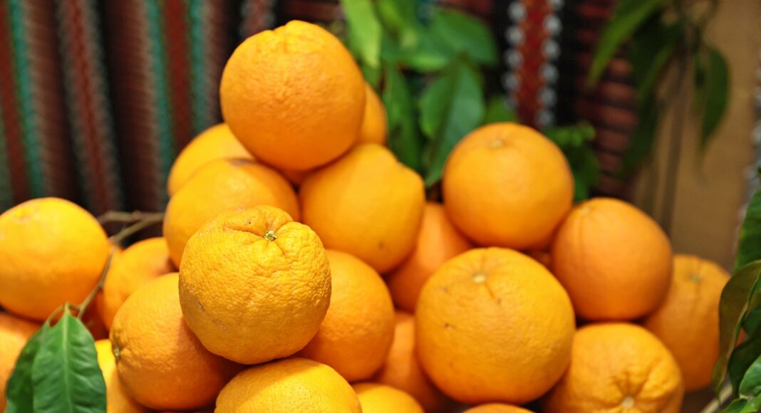 Laranja de Pardais