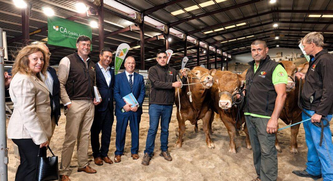FIAPE: Estremoz volta a afirmar-se como palco de referência da agropecuária nacional(c/fotos)