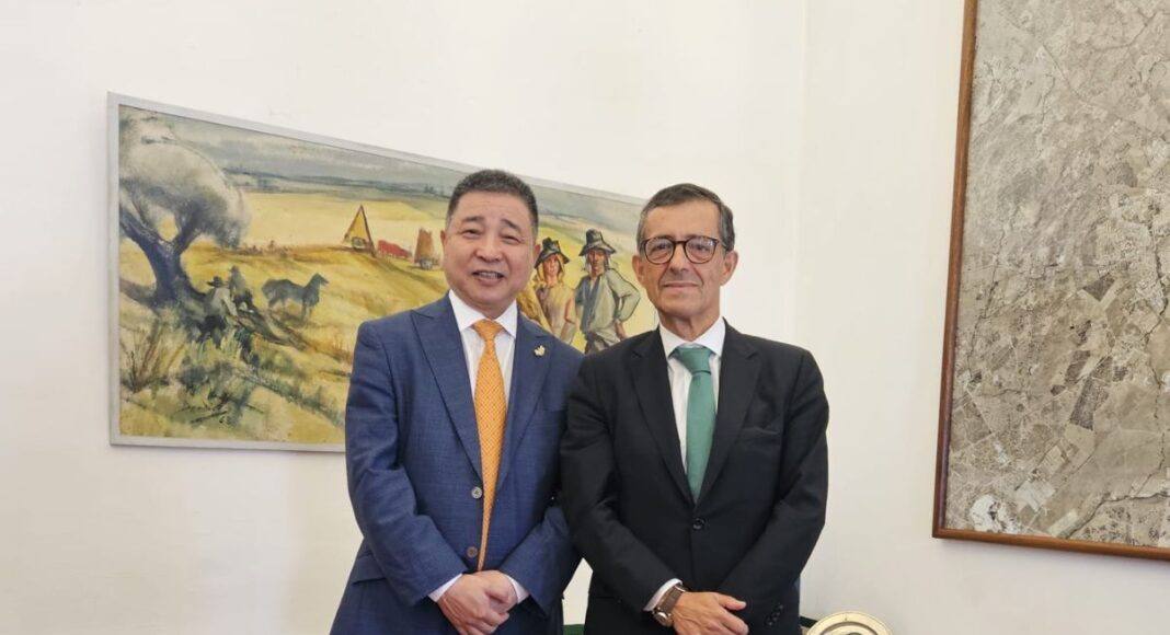 Évora pode receber investimento de 300 milhões em hidrogénio verde e criar centenas de empregos