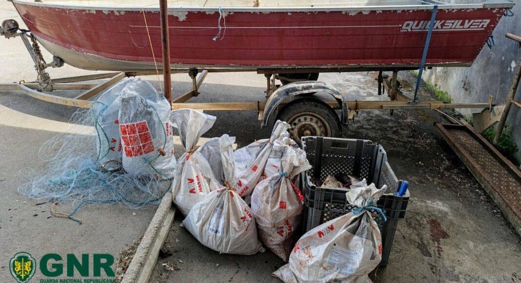 Mourão: Identificados pescadores sem licença na posse de 320 quilogramas de peixe