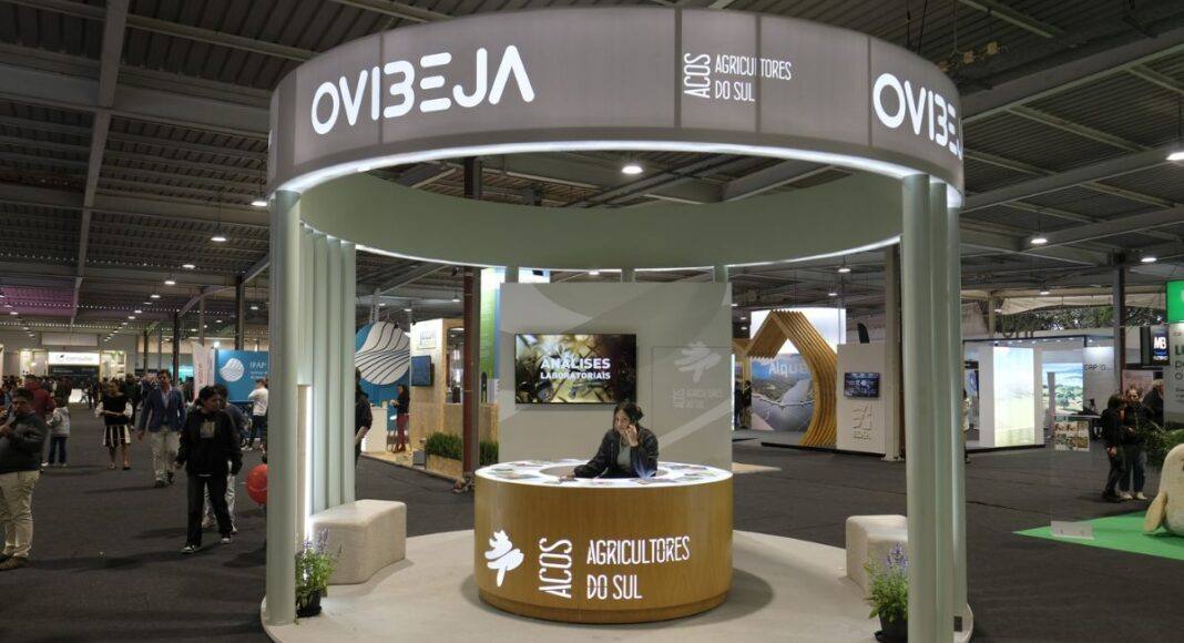 Ovibeja