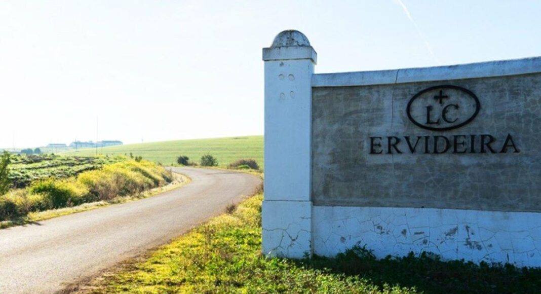 Ervideira
