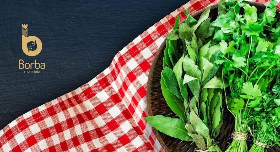 Borba promove festival gastronómico dedicado às ervas alimentares e aromáticas em maio