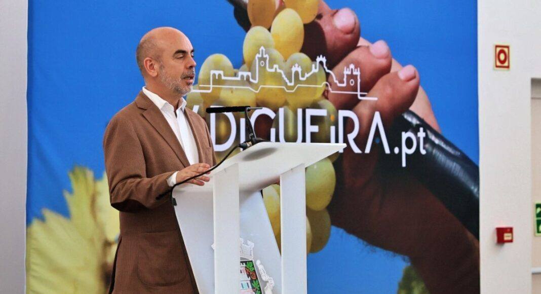 Vidigueira: Presidente da AMPV sublinha importância do vinho na economia local