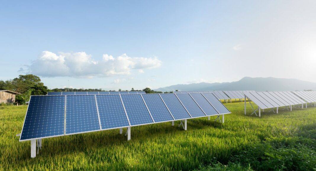 Estremoz recebe encontro sobre agrovoltaica que junta agricultura e energia solar