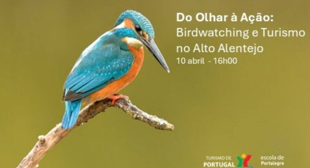Portalegre recebe evento sobre birdwatching com apresentação de projeto e lançamento de livro