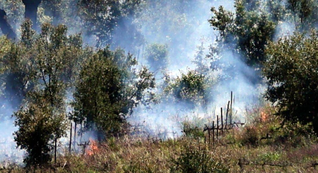Incêndio Vila Viçosa