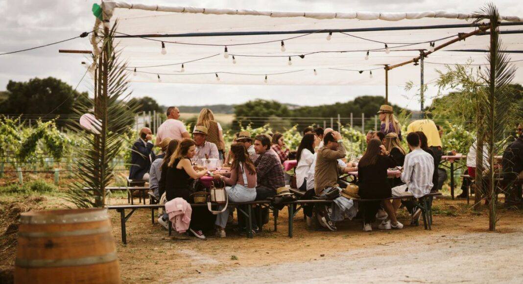 Quinta da Plansel volta a receber Rosé Party entre vinhas em Montemor-o-Novo a 30 de maio