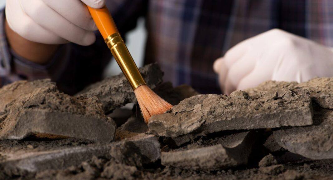 Arqueologia