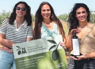 Beja: Figueirinha reforça aposta na sustentabilidade na produção de azeite Beja: Figueirinha reforça aposta na sustentabilidade na produção de azeite