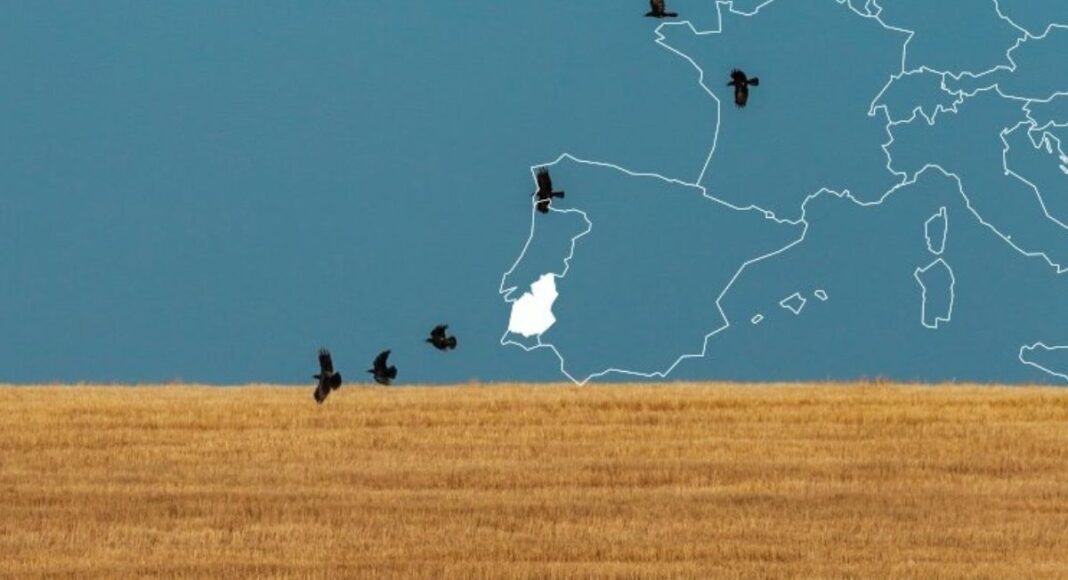 Hóteis do Alentejo com ocupação média superior a 75% graças a escapadinhas